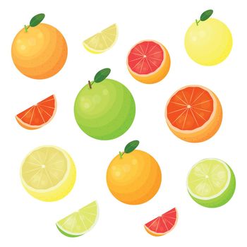 Different grapefruit varieties set.