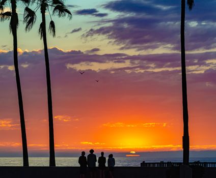 People at sunset beach in Santa Monica, California, United States of America. Sun, ocean, clouds and palms in background.