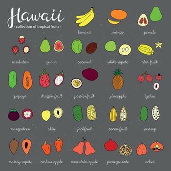 Tropical fruits of Hawaii set.