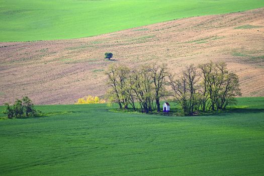 Beautiful landscape with spring nature. Chapel of St. Barbara. South Moravia - Moravian Tuscany - Czech Republic Europe..