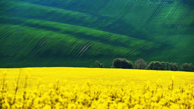 Beautiful landscape with spring nature. Waves on the field. South Moravia - Moravian Tuscany - Czech Republic Europe..