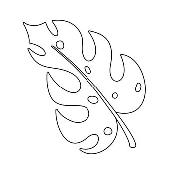 Monstera leaf icon. Hand drawn monstera leaf. Vector illustration.