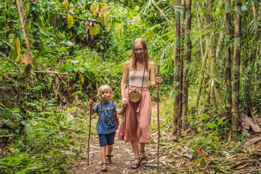 Family in hiking. Mom and son walking in the forest with trekking sticks