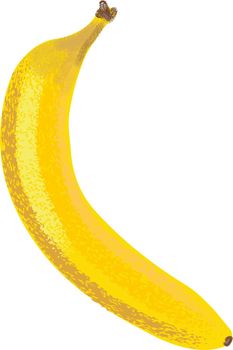 Fruit banana natural pastel vector