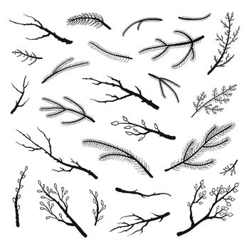 Set of hand drawn twigs and branches.