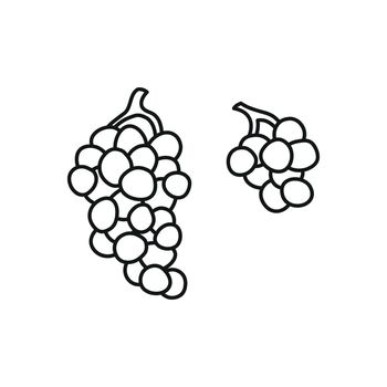 Doodle outline grape bunches.