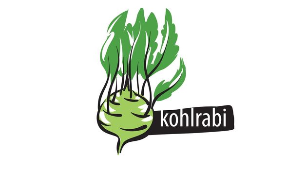 Drawn kohlrabi isolated on a white background