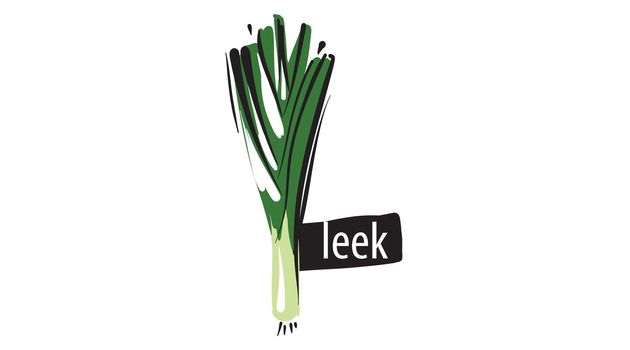 Drawn leek isolated on a white background