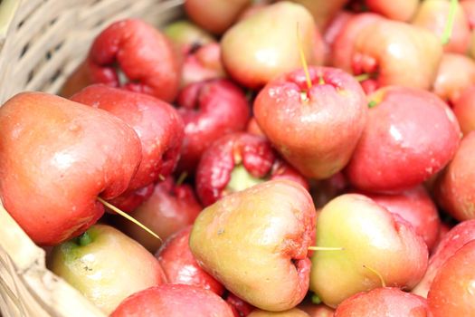 java apple stock on farm