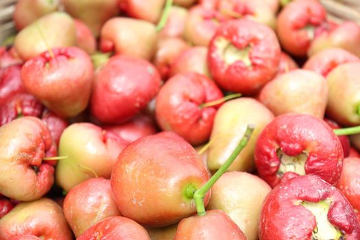 java apple stock on farm