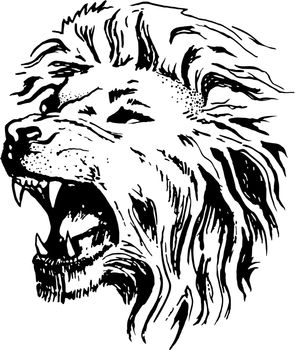Sketch vector lion head open mouth grin