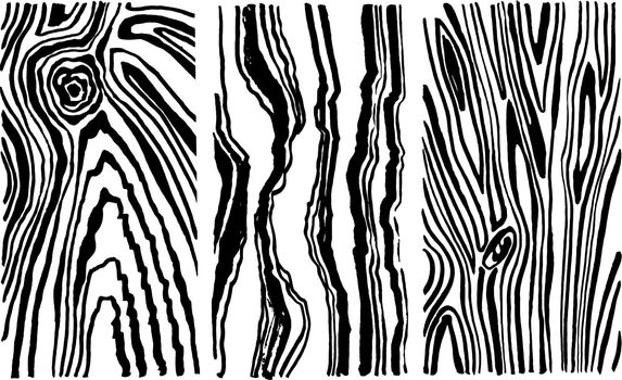 Hand drawn set wood texture. Saw cut the old tree. Vector sketch illustration made with ink and brush.