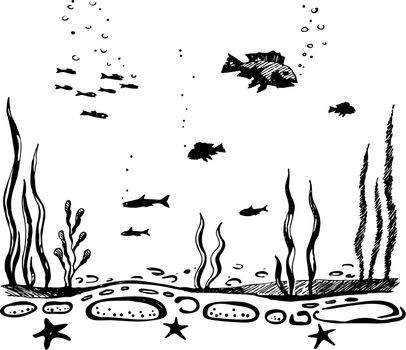 Sea bottom. The flora and fauna