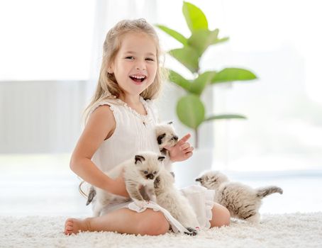 Child girl excited with ragdoll kittens and smiling. Little female person with purebred kitty pets at home