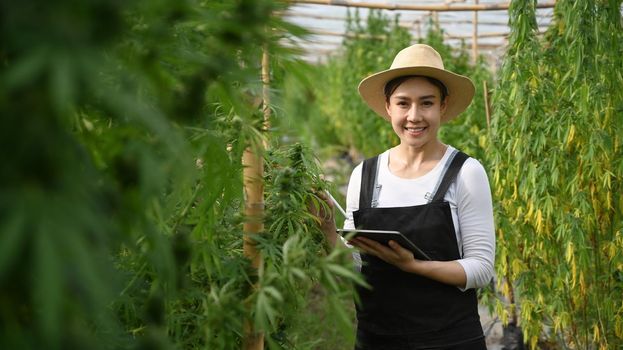 Smiling young smart farmer holding digital tablet and standing in cannabis field at sunset. Agriculture and herbal medicine concept