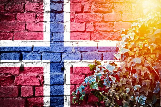 Norway grunge flag on brick wall with ivy plant sun haze view