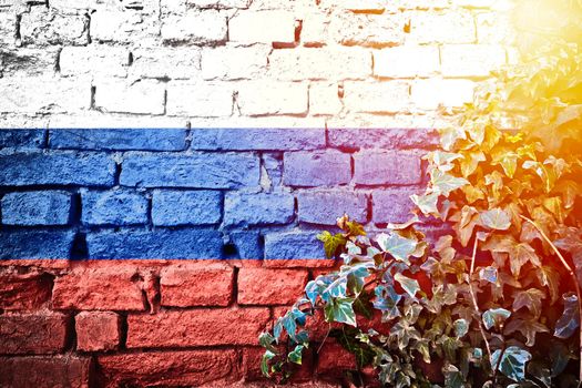 Russian Federation grunge flag on brick wall with ivy plant sun haze view