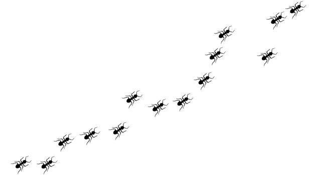 Ant trail A line of worker ants marching in search of food Vector illustration horizontal banner Ant road column