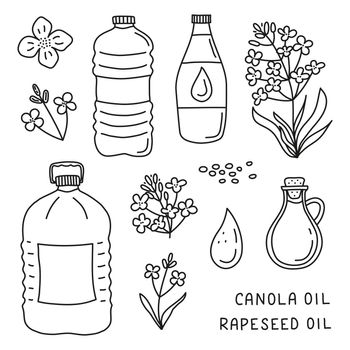 Set of doodle canola oil and flowers.