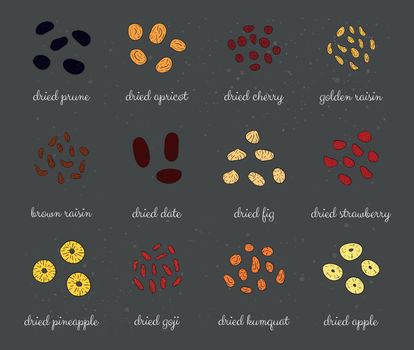 Hand drawn colored detailed dried fruits.