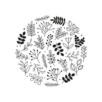 Doodle leafy twigs, wild herbs, plants, berries in circle.