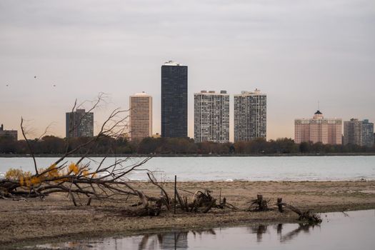 Skyline view of condo buildings on the North side of Chicago with the water of Lake Michigan and driftwood in the foreground.