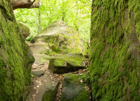 Moss-covered cobblestone in the green forest. Sochi, Lazarevskoe, Berendeevo kingdom