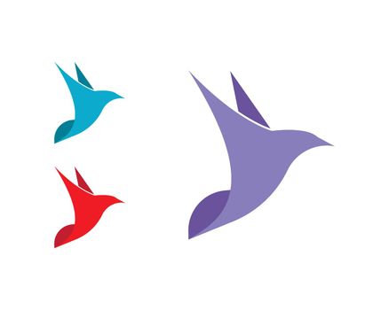 Bird Dove Logo Template