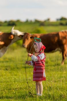 little girl tending cows