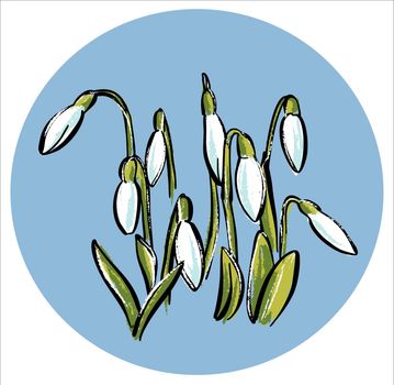 Spring flower primrose snowdrop. In a circle in the form of an emblem. In the style of a botanical sketch.