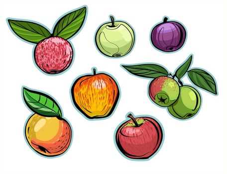 A set of different varieties of apples with and without leaves. Illustration, realistic sketch in the form of stickers.