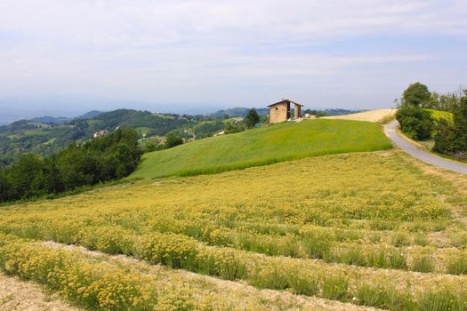 Landscape of fields in Italy