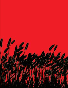 Grasses Silhouette Over Red
