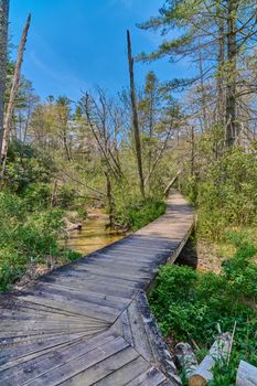 Wooden pathway or walkway at Pink Beds Picnic Area in Pisgah National Forest.