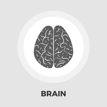 Human brain icon vector. Flat icon isolated on the white background. Editable EPS file. Vector illustration.