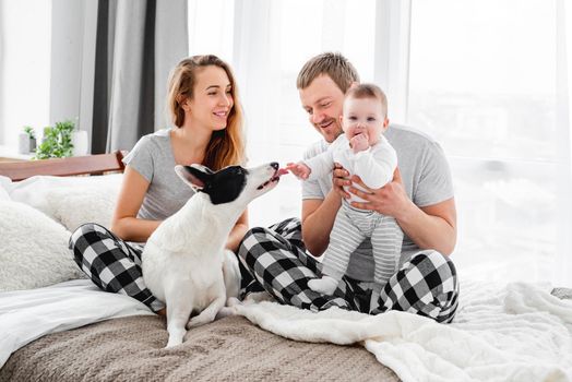Family with baby boy sitting on the bed with cute dog. Mother and father with their son and doggy together smiling. Beautiful parenthood time. Pet with owners