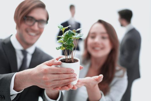 two young businessmen show a seedling