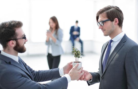 businessman gives his partner a young seedling