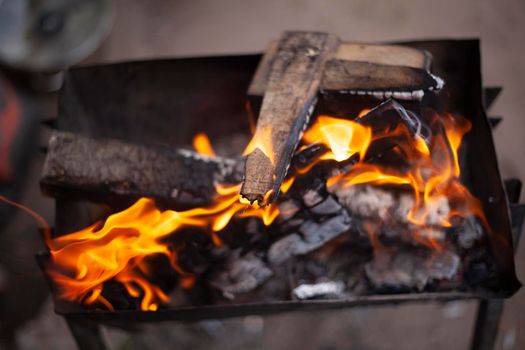 Firewood is burning. Burning dry branches. Creating coal. Picnic details.