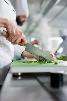 Close up of gastronomy expert chopping fresh herbs and organic vegetables while preparing dish for dinner service at restaurant.