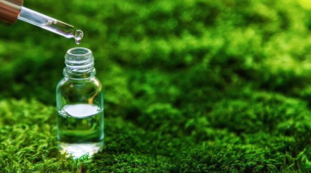 Cosmetics in a bottle and essential oils on moss. Natural spa. Selective focus.
