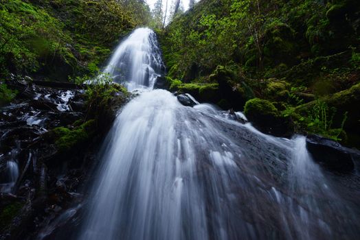 Fairy Falls in Columbia Gorge Oregon