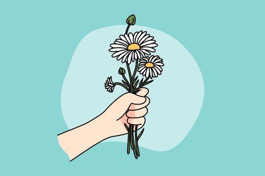 Hand holding daisies bouquet