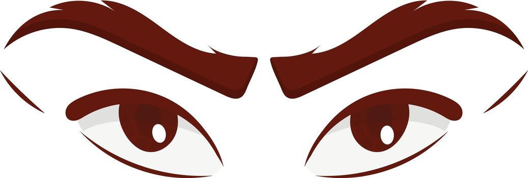 Cartoon woman eyes and eyebrows with lashes. Isolated vector