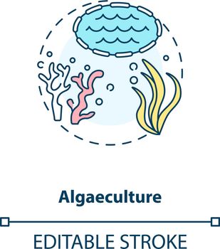 Algaeculture concept icon