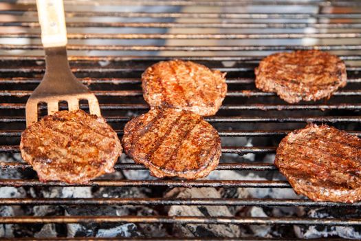 Roast on a grill cutlets for burgers on coals