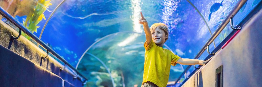aquarium and boy, visit in oceanarium, underwater tunnel and kid, wildlife underwater indoor, nature aquatic, fish, tortoise BANNER, LONG FORMAT