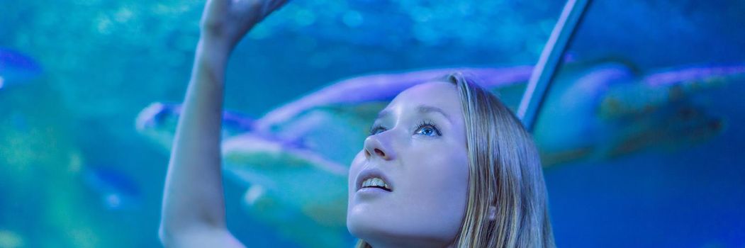 Young woman touches a stingray fish in an oceanarium tunnel BANNER, LONG FORMAT