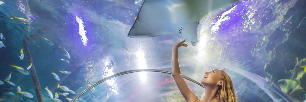 Young woman touches a stingray fish in an oceanarium tunnel BANNER, LONG FORMAT