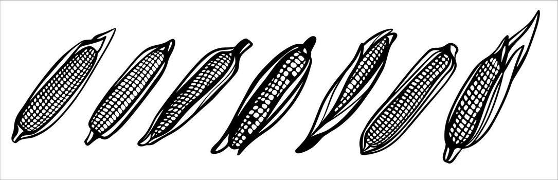 A set of corn cobs. Harvest. Black and white illustration in the form of a sign, logo. Silhouette for cutting on a plotter, suitable for SVG format.